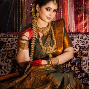 ইন্ডিয়ান কাঞ্জিপুরাম কাতান শাড়ি